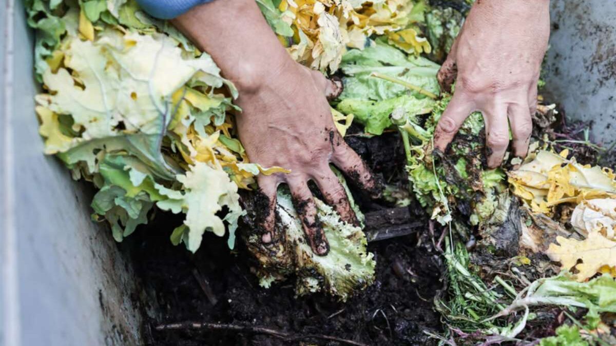 difference composteur lombricomposteur