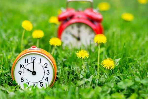 jusqu'à quelle heure peut on tondre en semaine