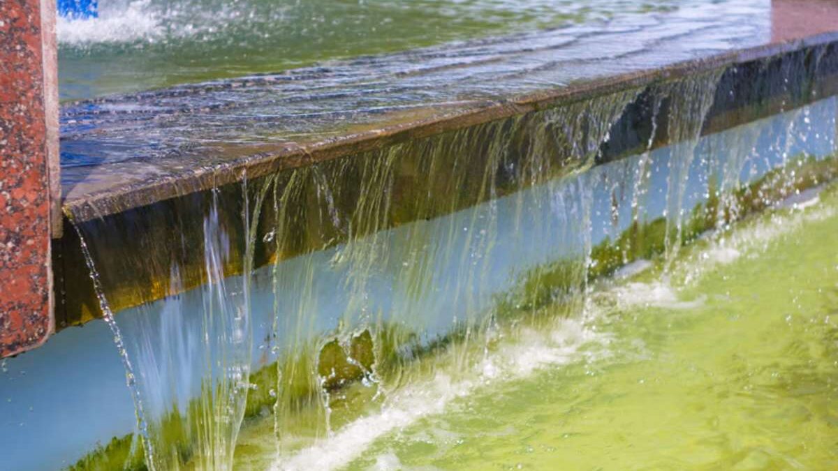 lame d eau bassin fait maison