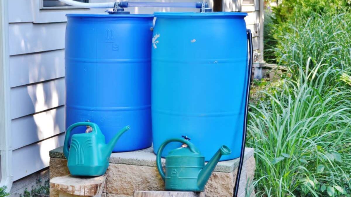 usages eau de pluie récupérée jardin