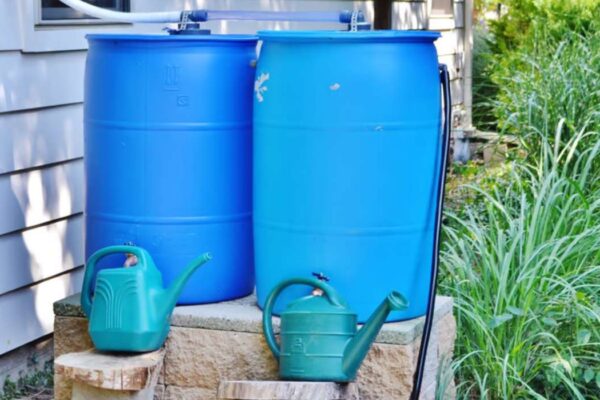 usages eau de pluie récupérée jardin
